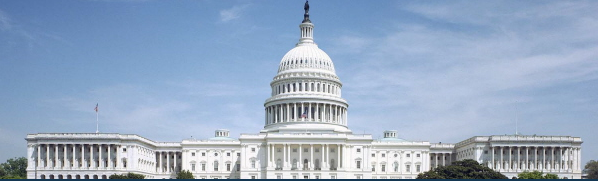 WashingtonDC Capitol 2010